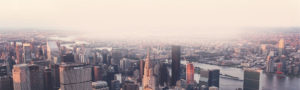 banner_Business