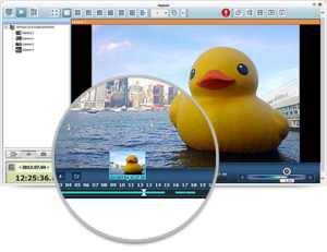 pic_surveillance3-02