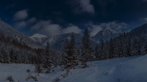 video_01-05bg