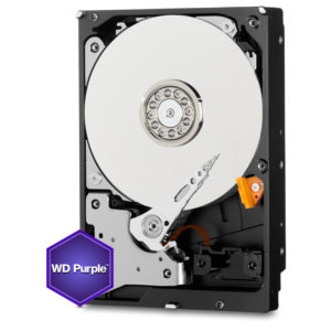 wdfWDPurple (1)